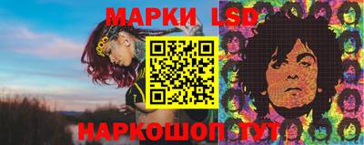 эйфоретик Баксан