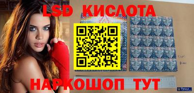 эйфоретик Баксан