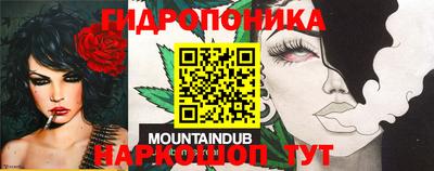 эйфоретик Баксан