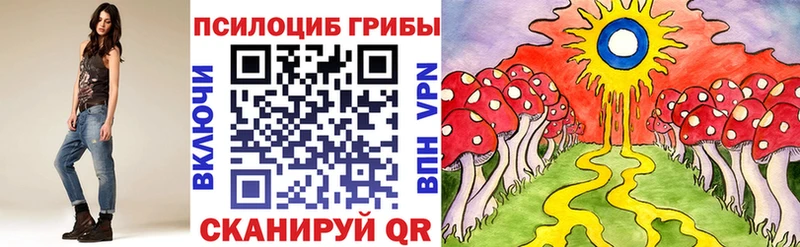 закладки  Ачинск  Галлюциногенные грибы Magic Shrooms 