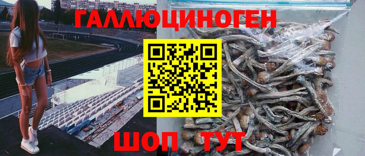 Псилоцибиновые грибы GOLDEN TEACHER  Вход с VPN  Галлюциногенные грибы MAGIC MUSHROOMS  цена   Ачинск 